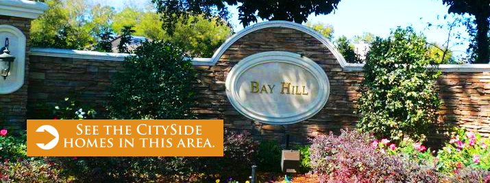 Search for Homes in Dr. Phillips/BayHill!